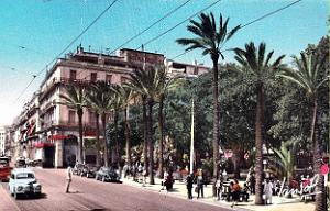 850- Alger - Bd Carnot et Square Bresson